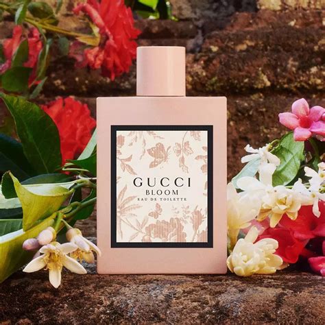 Gucci Bloom ~ new perfume :: Now Smell This